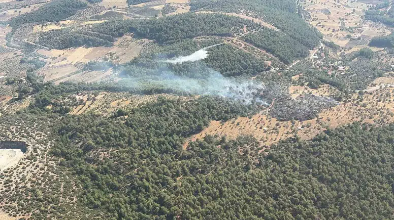 Milas'ta alevler paniğe yol açtı: Ekiplerin zamanla yarışı sonuç verdi