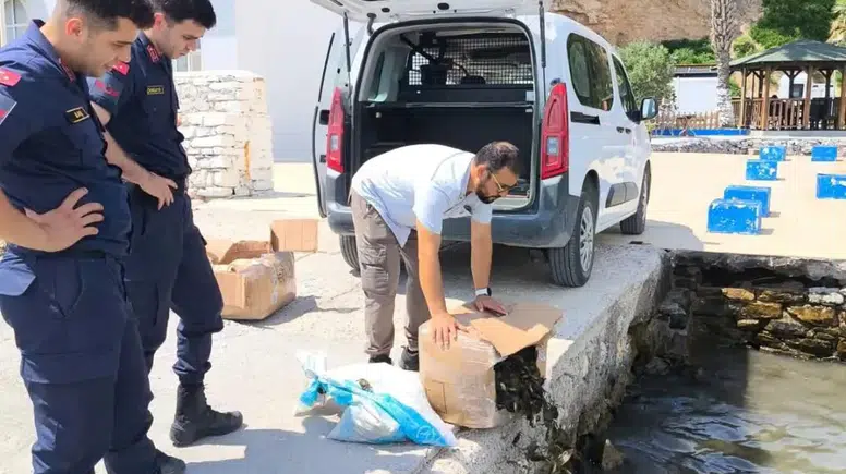 Söke’de kaçak yengeç operasyonu: Binlerce canlı doğaya geri döndü