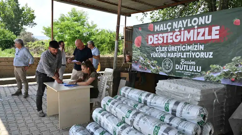 Manisa'da çilek üreticisinin yüzünü güldüren hamle: Yüzde 75'i belediyeden