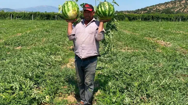 Tarlada emeği hiçe sayılan çiftçi çareyi direksiyonda buldu: Aracılara inat kendi pazarını kurdu
