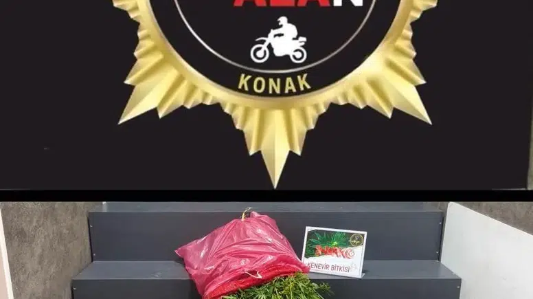 Konak’ta bahçeyi kenevir tarlasına çevirmiş: Emniyetten kaçamadı