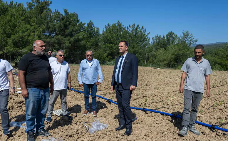 Bornova’da atıl topraklar hayat buluyor
