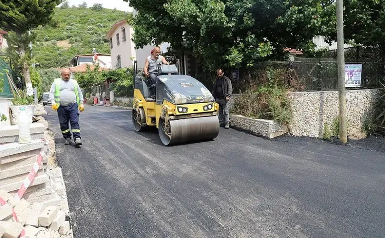 Maydonoz Koyu’nda Asfalt Çalışması