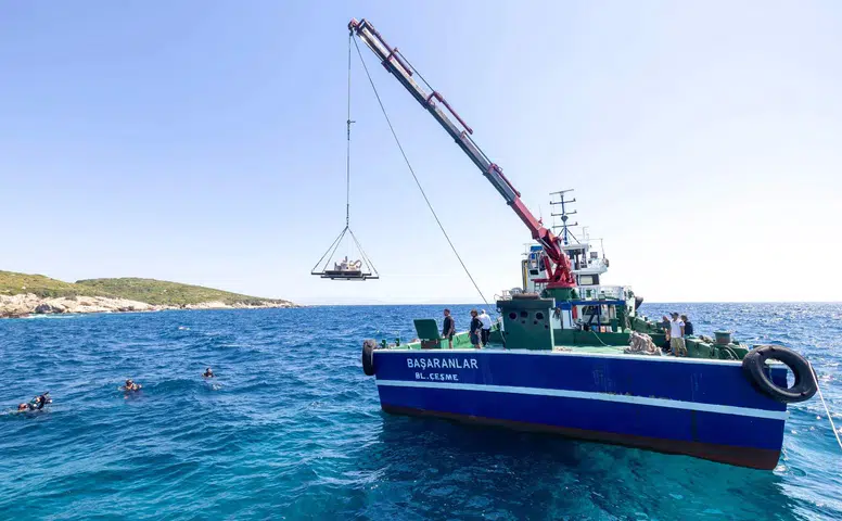 Midye kabukları deniz yaşamına nefes olacak