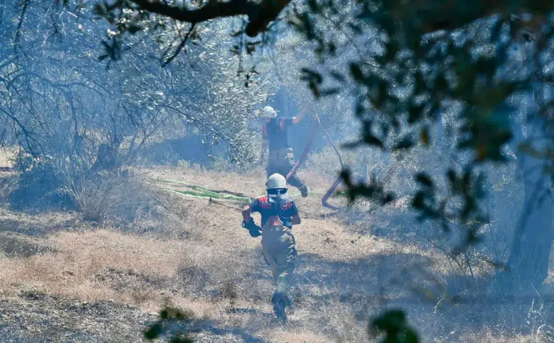 İzmir'de Alevler Kontrol Altına Alındı, Yangınla Mücadelede Koordineli Müdahale Başarı Getirdi