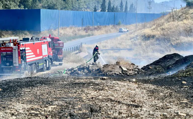 İzmir İtfaiyesi bukalemunu hayata döndürdü