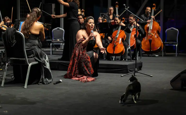 İzmir Oda Orkestrası yeni sezonu Zeytin Sahne’de açtı