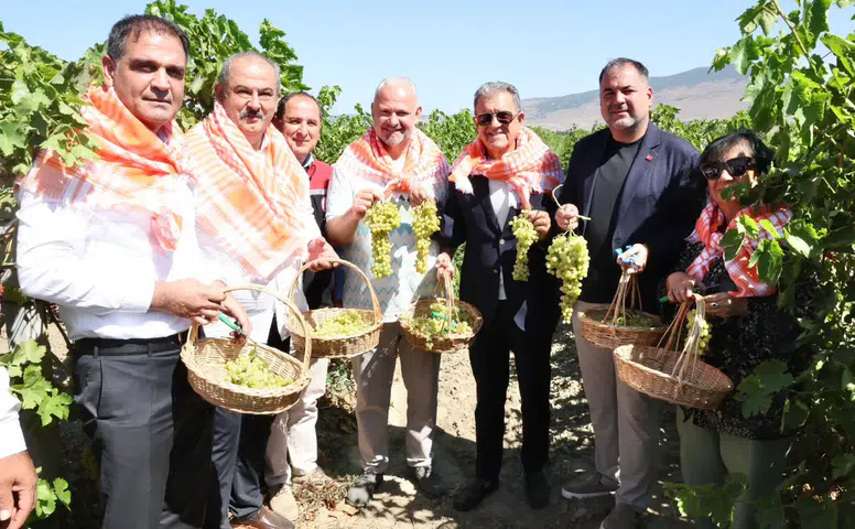 Menemen’de bağ bozumu gerçekleştirildi