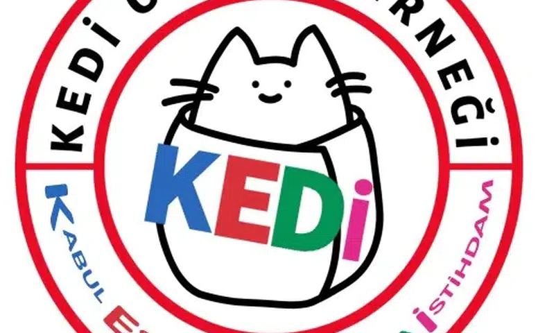 KEDİ Otizm Derneği: Özel eğitimde 'istisnasız' randevu sistemi hak ihlalidir