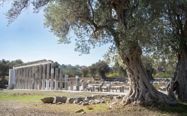 Teos’un taşları 2 bin 200 yıllık tarihi gün yüzüne çıkarıyor