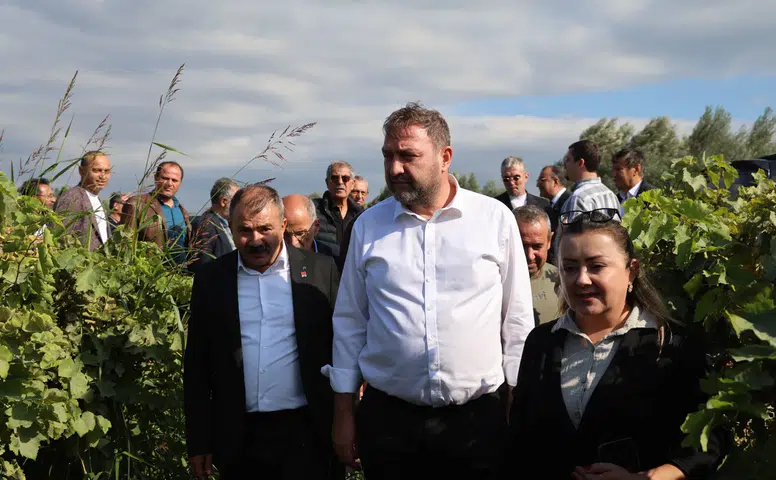 Gümrükçü: “Tatlı Üzümde Acı Fiyat Olmaz, Alım Fiyatı Derhal 150 Liraya Çıkarılmalı”