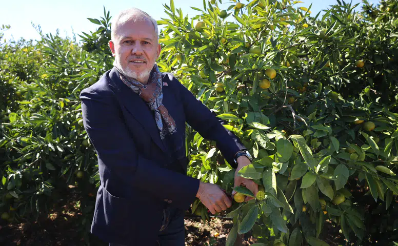 Satsuma mandalinanın ihracat yolculuğu başladı