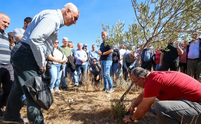 Buca'da Sertifikalı Zeytin Budama Eğitimi Tamamlandı