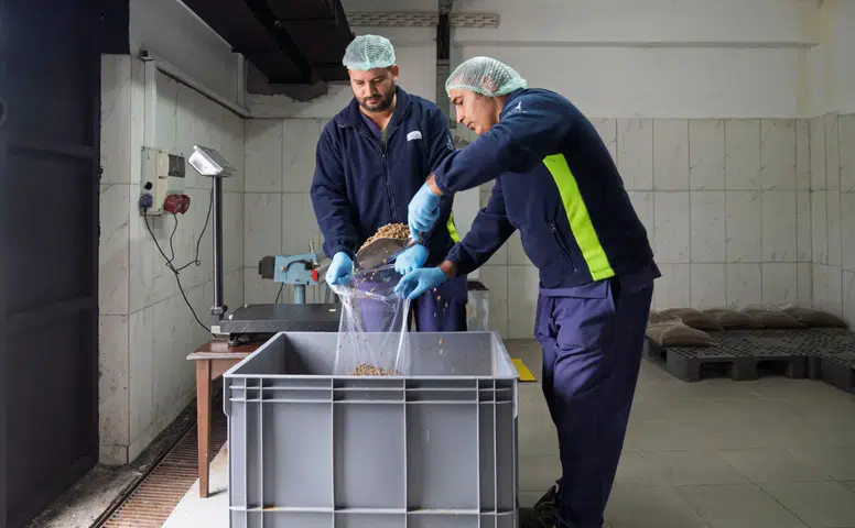 Büyükşehir sahipsiz canlar için kendi mamasını üretiyor: Hedef günde 1 ton