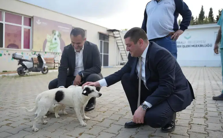 Torbalı Belediyesi Can Dostlar İçin Fark Yaratıyor