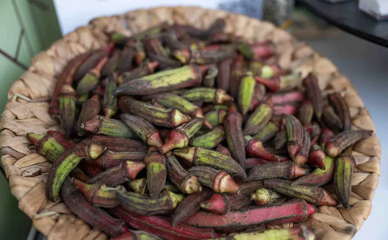 Gastrofest’te Bornova rüzgarı