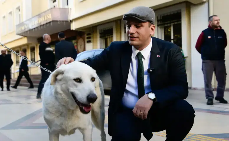 Bornova Belediyesi: Ege Üniversitesi'ndeki 83 köpek belediye yerleşkesine alındı
