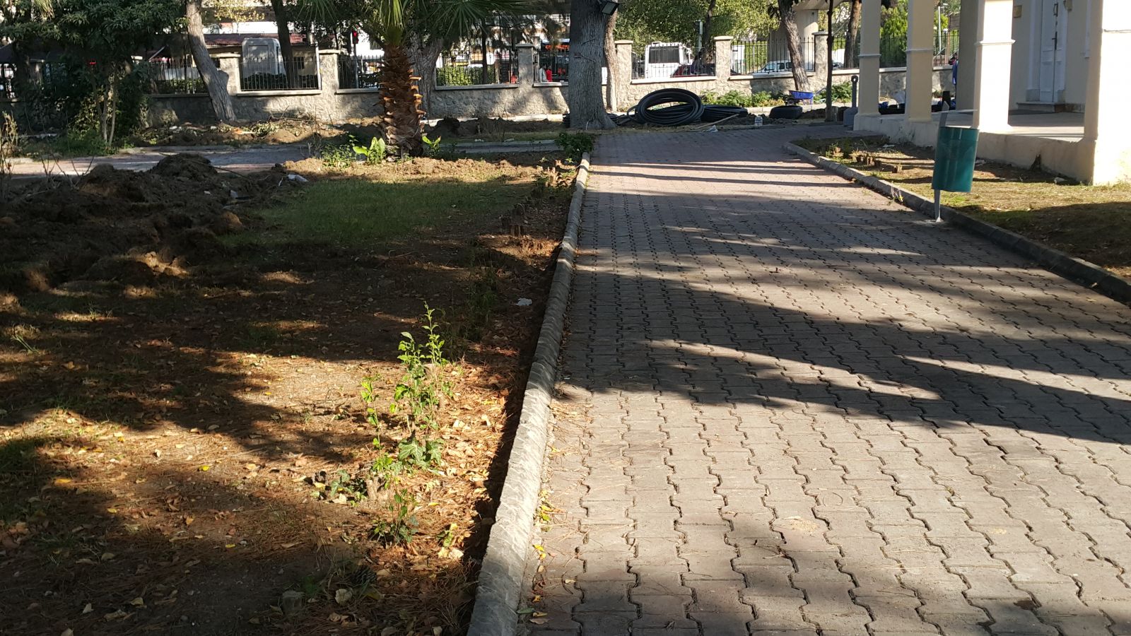 Ağaçların Suçu Ne?