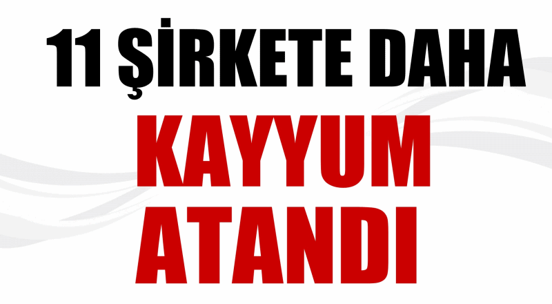11 şirkete kayyum atandı