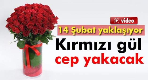 14 Şubat'ta kırmızı gül cep yakacak