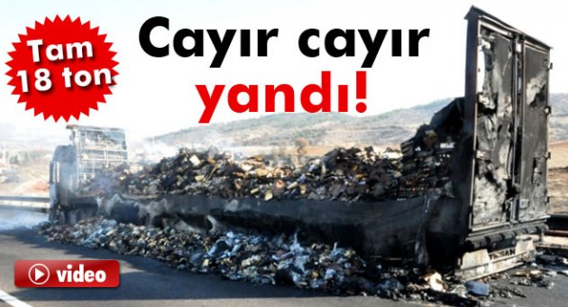18 ton tavuk ürünü yüklü TIR kül oldu