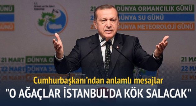 ‘200 bin çınar ağacı dikeceğiz’