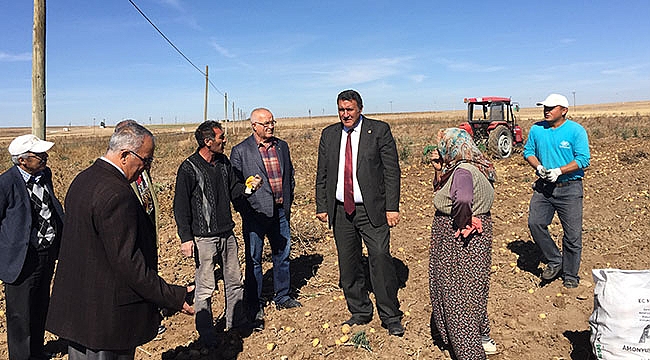 3 Ayda 15 Tarım İşçisi Trafik Kazasında Öldü