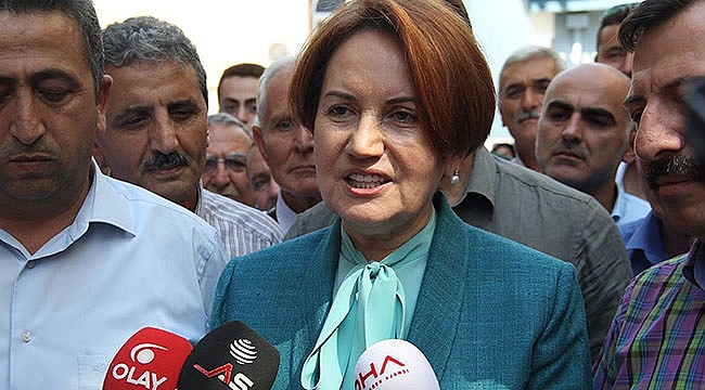 Pamukoğlu Akşener'in Partisine Yeşil Işık Yaktı