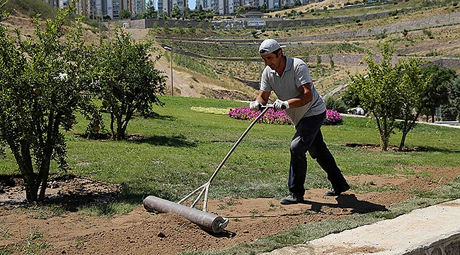 Barış Ağaçları Karşıyaka’da Hayat Buldu