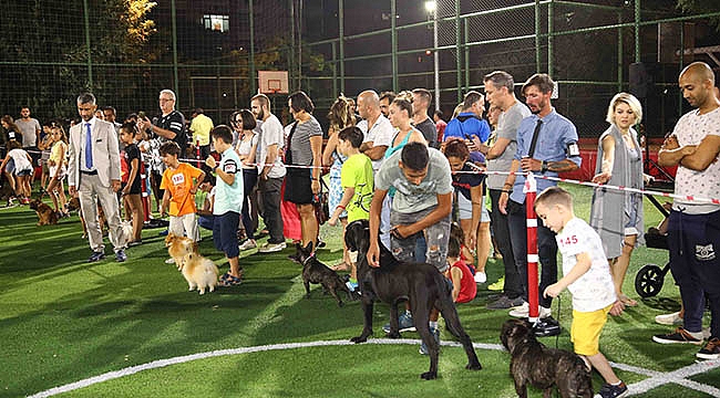 Bayraklı’da Köpek Irkları Yarıştı