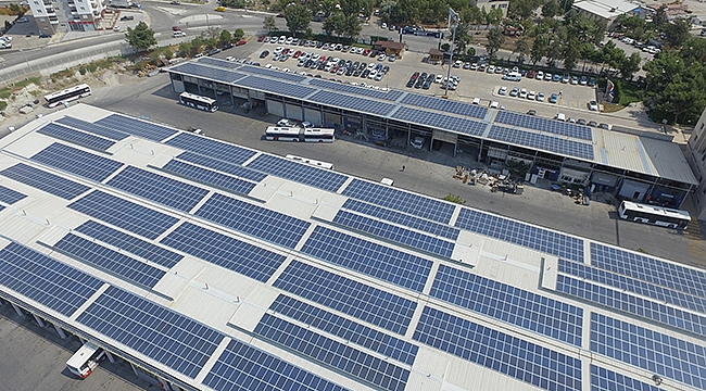 Binlerce Ağaca Bedel