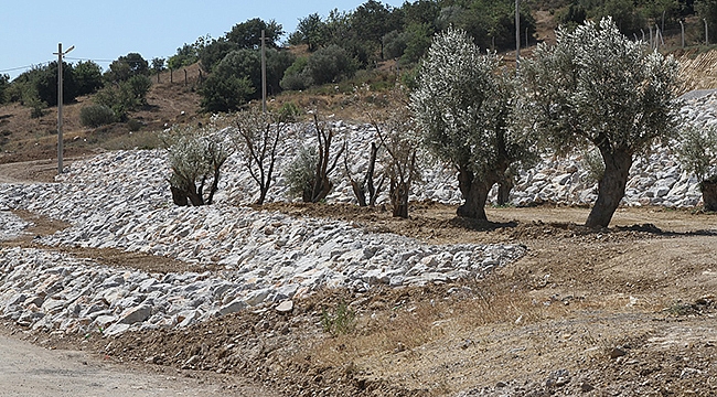 Gaziemir’e Adalet ve Üç Fidan Parkı