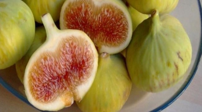 Günde 1 Adet Beyaz İncirin Faydası Çok fazla!