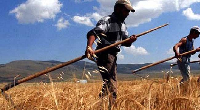 'İthal Buğday, Çiftçiyi Bitirme Planıdır'