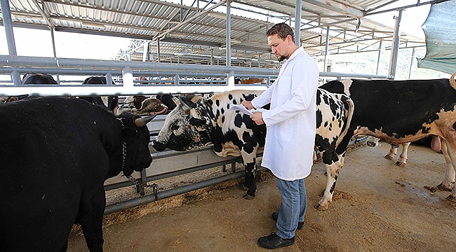 Karşıyaka Kurban Bayramı’na Hazır