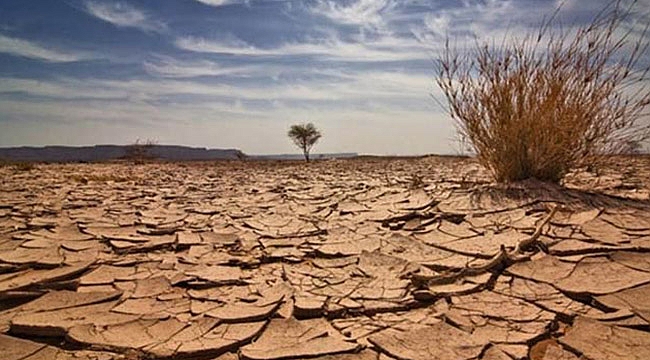 Küresel İklim Değişikliğiyle Mücadele İçin Sadece 3 Sene Kaldı!