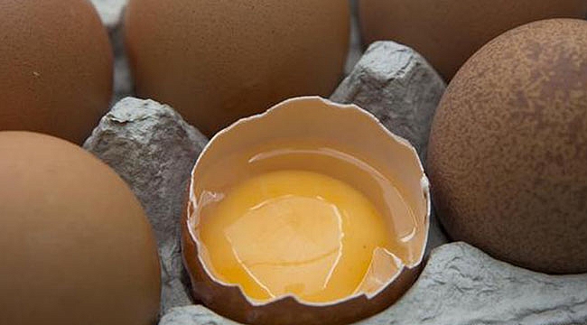 Zehirli Yumurta Skandalı Meclis Gündeminde