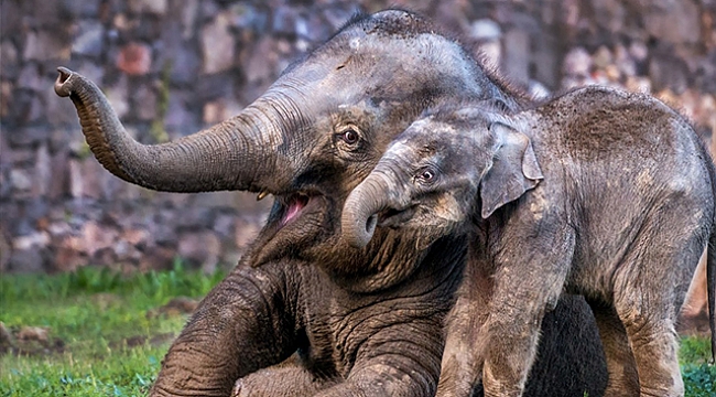 Fotoğraf Düşkünlerine: Bu Yarışma Kaçmaz