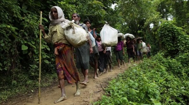 Gerçek Can Kaybı Sayısı Açıklandı!