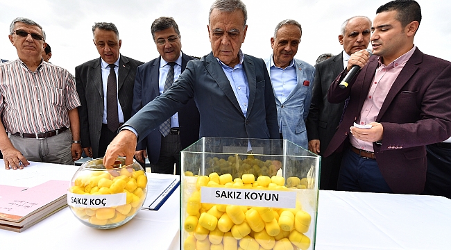 Büyükşehir Belediyesi’nin umut sürüsü büyüyor 10 bine doğru…