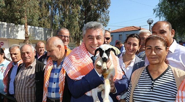 Büyükşehir koç, koyun dağıttı Güzelbahçe yumurta dağıtacak