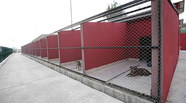 Can Dostlara 5 Yıldızlı Tesis