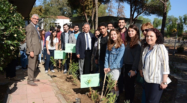 DEÜ Tıp’lı Öğrenciler Kafelerinin  Etrafını Ağaçlandırdı