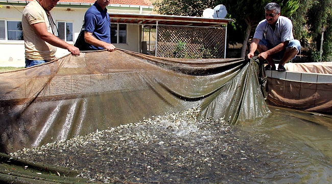 DSİ İzmir’den Balık Rekoru