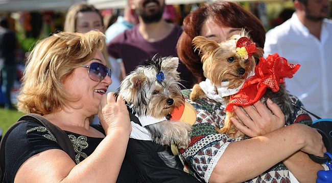 Hayvanseverler Patifest’te buluştu