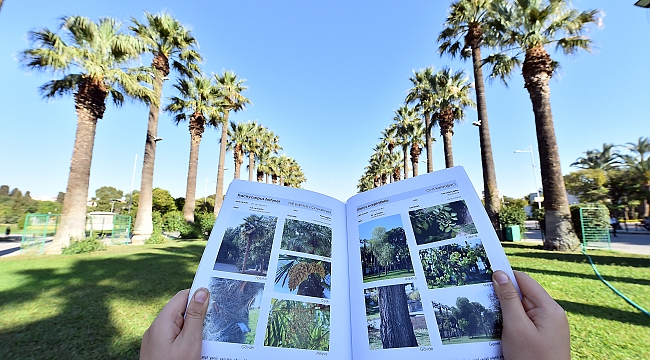 Kültürpark'ın ağaçları kitap oldu