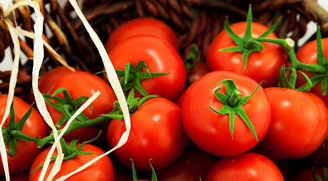 Rusya’ya Yaş Meyve Sebze İhracatında Liste Krizi