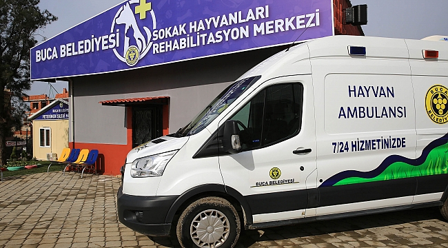 Sokak Hayvanlarına yüzde yüz destek