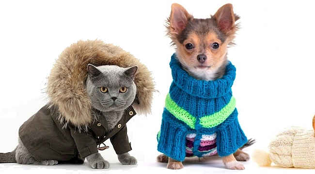 ÜŞÜRLER Mİ? Kesinlikle EVET!