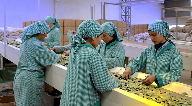 128 Milyon Dolarlık İhracat